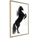 Poster Black Horse - black and white composition with the silhouette of a standing animal 118917 additionalThumb 6