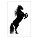 Poster Black Horse - black and white composition with the silhouette of a standing animal 118917 additionalThumb 19