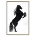 Poster Black Horse - black and white composition with the silhouette of a standing animal 118917 additionalThumb 14
