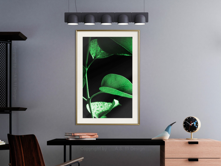 Wall Poster Plant in Black - botanical composition with green leaves on a dark background 121617 additionalImage 21