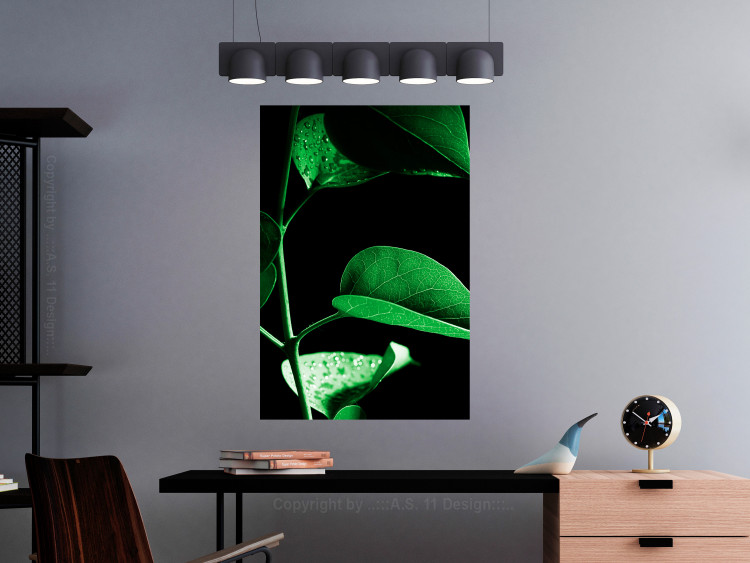 Wall Poster Plant in Black - botanical composition with green leaves on a dark background 121617 additionalImage 17