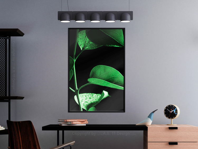 Wall Poster Plant in Black - botanical composition with green leaves on a dark background 121617 additionalImage 5