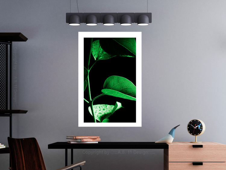 Wall Poster Plant in Black - botanical composition with green leaves on a dark background 121617 additionalImage 2