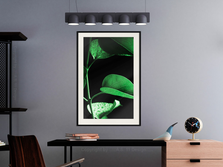 Wall Poster Plant in Black - botanical composition with green leaves on a dark background 121617 additionalImage 22
