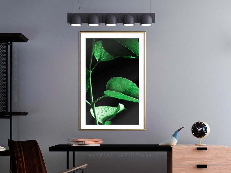 Wall Poster Plant in Black - botanical composition with green leaves on a dark background 121617 additionalImage 15