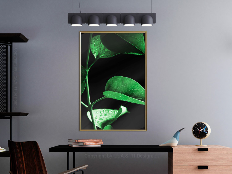 Wall Poster Plant in Black - botanical composition with green leaves on a dark background 121617 additionalImage 7