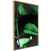 Wall Poster Plant in Black - botanical composition with green leaves on a dark background 121617 additionalThumb 12