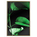 Wall Poster Plant in Black - botanical composition with green leaves on a dark background 121617 additionalThumb 16