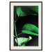 Wall Poster Plant in Black - botanical composition with green leaves on a dark background 121617 additionalThumb 18