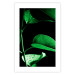 Wall Poster Plant in Black - botanical composition with green leaves on a dark background 121617 additionalThumb 25