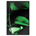 Wall Poster Plant in Black - botanical composition with green leaves on a dark background 121617 additionalThumb 24