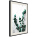Poster Eucalyptus Scent - green plant leaves on a concrete texture background 123417 additionalThumb 3