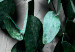 Poster Eucalyptus Scent - green plant leaves on a concrete texture background 123417 additionalThumb 8