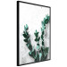 Poster Eucalyptus Scent - green plant leaves on a concrete texture background 123417 additionalThumb 10