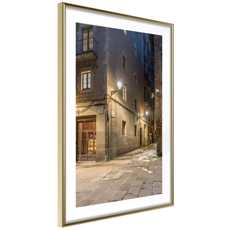 Poster Charming Alley - illuminated architecture of stone buildings at night 123617 additionalImage 4