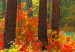 Canvas Art Print Sunny Autumn (1 Part) Wide 125017 additionalThumb 5
