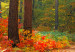 Large canvas print Sunny Autumn II [Large Format] 125617 additionalThumb 5