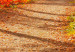 Large canvas print Sunny Autumn II [Large Format] 125617 additionalThumb 4