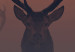 Poster Deer in the Mist - animal against a sunset backdrop during mist 129917 additionalThumb 4