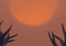 Poster Deer in the Mist - animal against a sunset backdrop during mist 129917 additionalThumb 5
