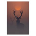 Poster Deer in the Mist - animal against a sunset backdrop during mist 129917