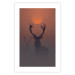 Poster Deer in the Mist - animal against a sunset backdrop during mist 129917 additionalThumb 25