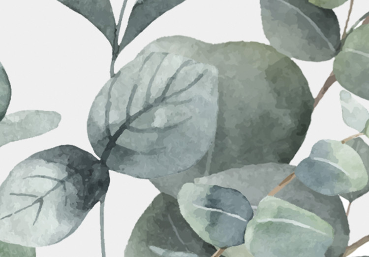 Canvas Print Eucalyptus leaves - landscape on a white background 137217 additionalImage 4