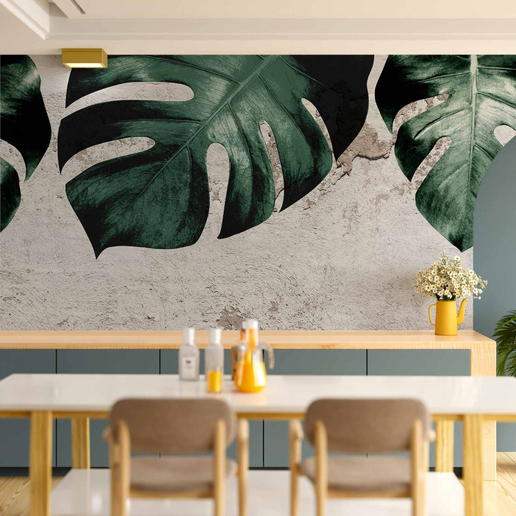 Wall Mural Face of monstera- composition with green leaves and concrete wall 138817 additionalImage 6