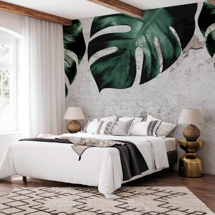 Wall Mural Face of monstera- composition with green leaves and concrete wall 138817 additionalImage 2