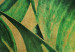Canvas Art Print Leaves in Gold (1-piece) - close-up landscape with plants 142517 additionalThumb 4