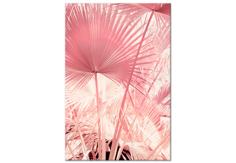 Canvas Print Summer Pink Palms (1-piece) - landscape with leaves in Miami Vibe style 144117