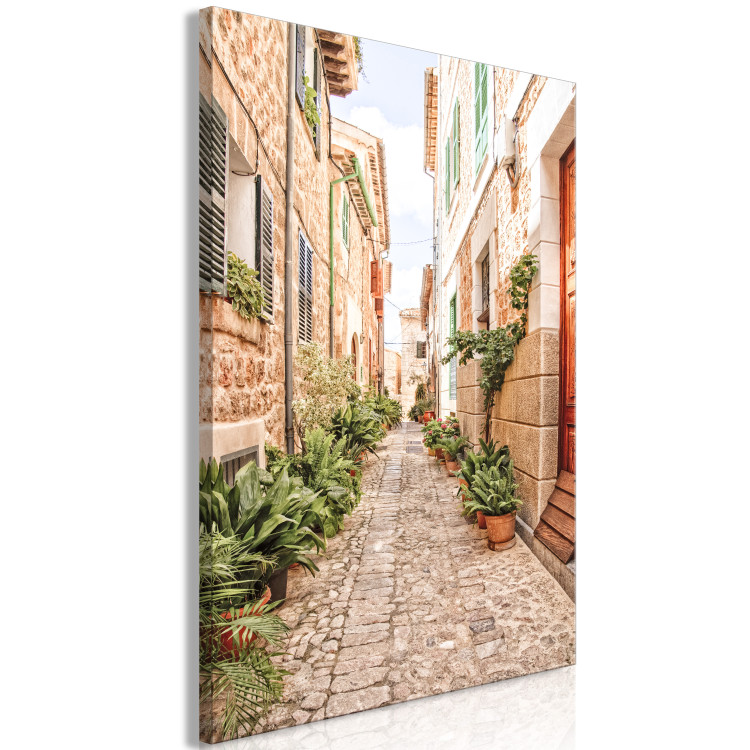 Canvas Quiet Alley (1-piece) - view of a Spanish town and plants 145217 additionalImage 2