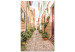 Canvas Quiet Alley (1-piece) - view of a Spanish town and plants 145217