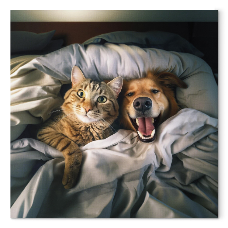 Canvas Art Print AI Golden Retriever Dog and Tabby Cat - Animals Resting in Comfortable Bedding - Square 150217