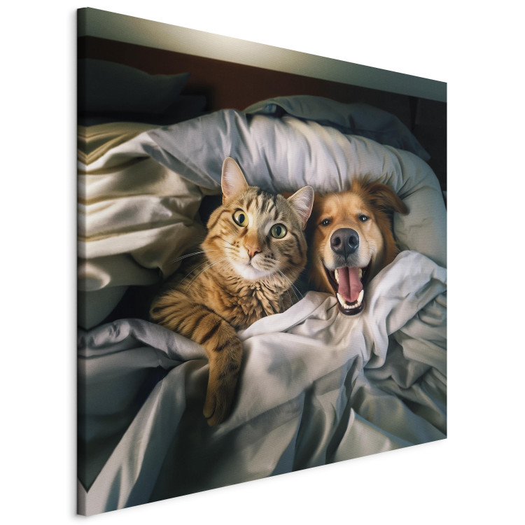 Canvas Art Print AI Golden Retriever Dog and Tabby Cat - Animals Resting in Comfortable Bedding - Square 150217 additionalImage 2