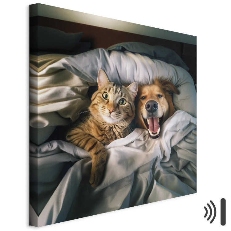 Canvas Art Print AI Golden Retriever Dog and Tabby Cat - Animals Resting in Comfortable Bedding - Square 150217 additionalImage 8