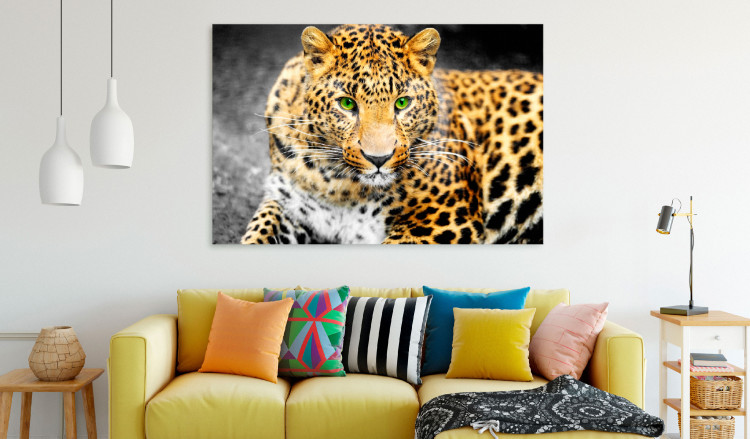 Large canvas print Wild Cat Portrait [Large Format] 150717 additionalImage 6