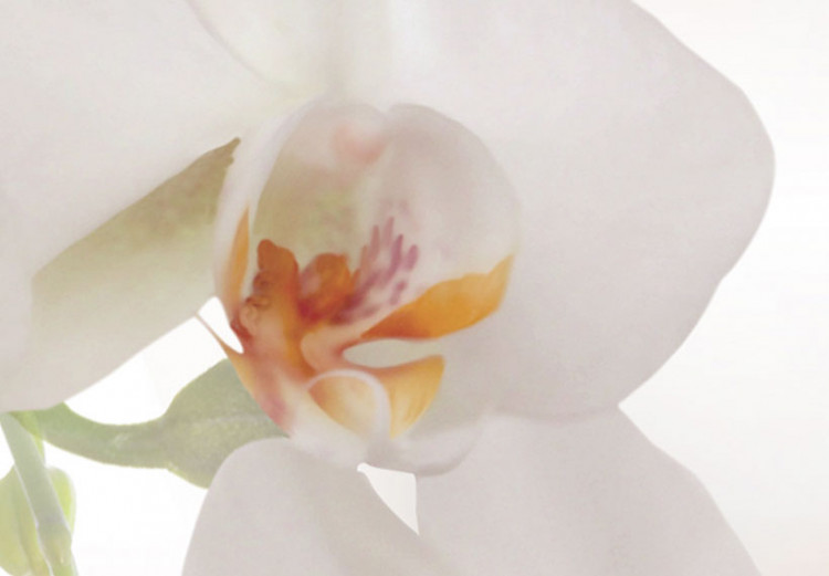 Canvas A white abstract orchid 55617 additionalImage 4
