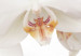 Canvas A white abstract orchid 55617 additionalThumb 5