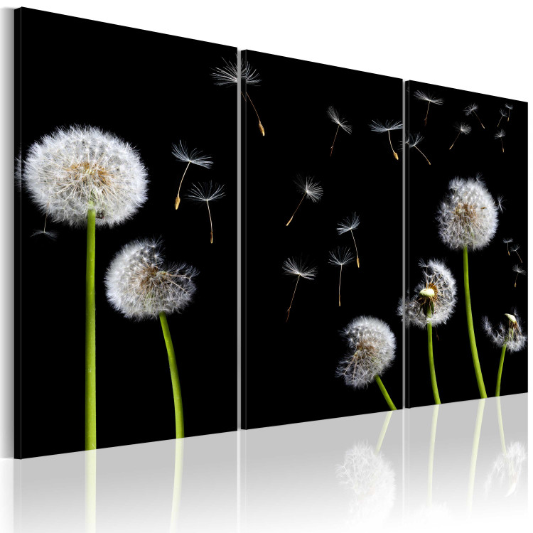 Canvas Art Print Dandelions family 58617 additionalImage 2