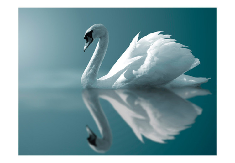 Wall Mural White swan 61317 additionalImage 1