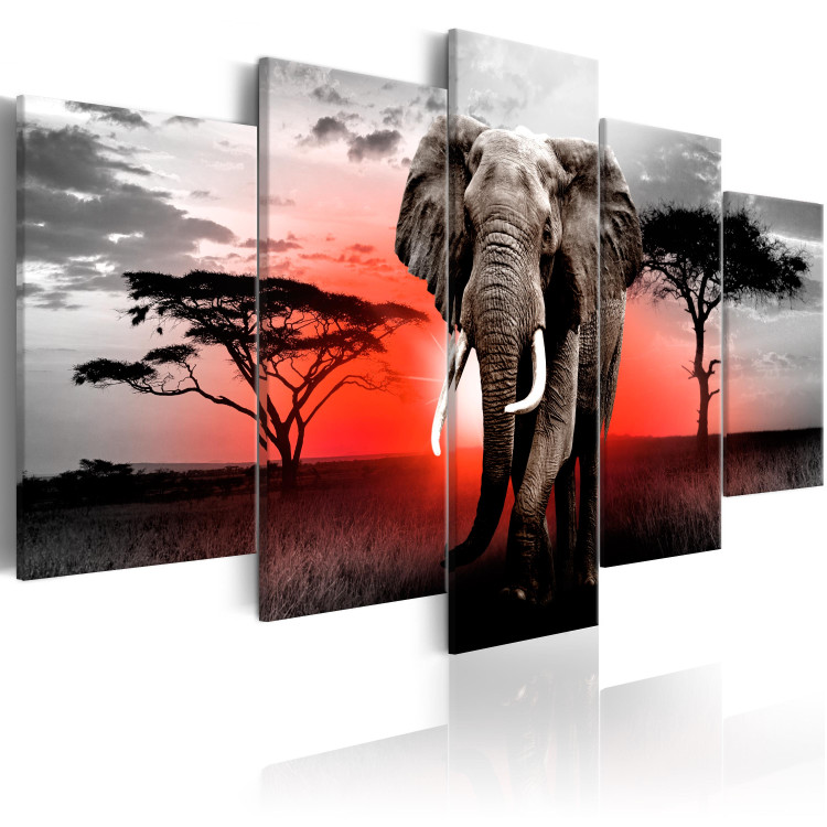 Canvas Print Lonely Elephant 98617 additionalImage 2