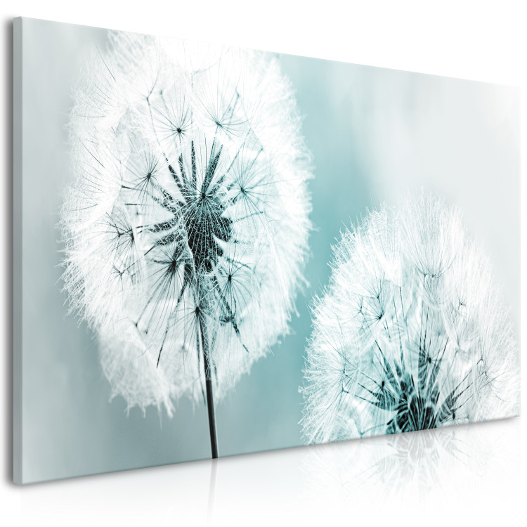 Canvas Fluffy Dandelions (1-part) Wide - White Flowers on a Light Background 107227 additionalImage 2