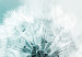 Canvas Fluffy Dandelions (1-part) Wide - White Flowers on a Light Background 107227 additionalThumb 4