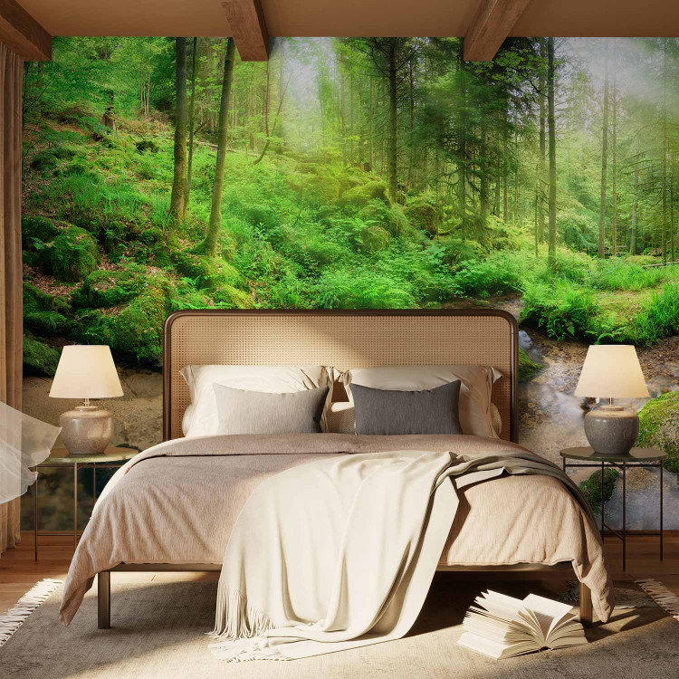Wall Mural Humid Forest 108227 additionalImage 2