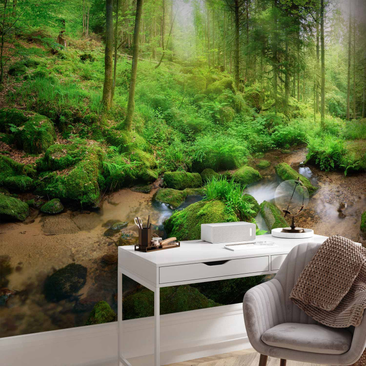 Wall Mural Humid Forest 108227 additionalImage 4