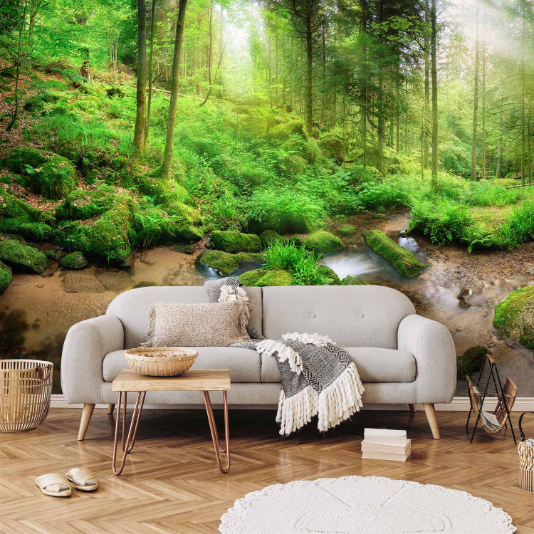 Wall Mural Humid Forest 108227