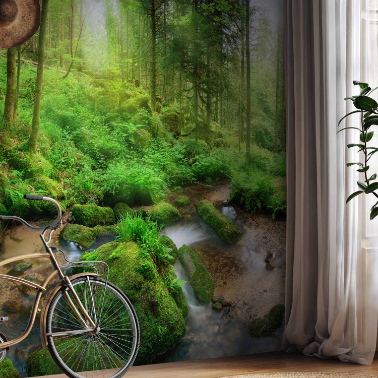 Wall Mural Humid Forest 108227 additionalImage 7