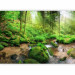Wall Mural Humid Forest 108227 additionalThumb 5