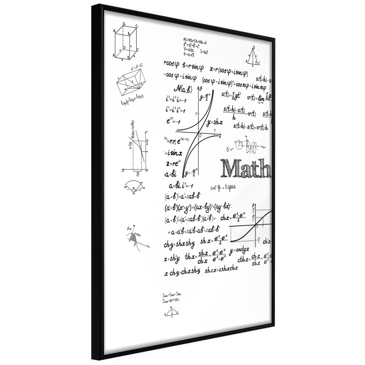 Poster Mathematics - black and white mathematical equations and geometric figures 116327 additionalImage 12